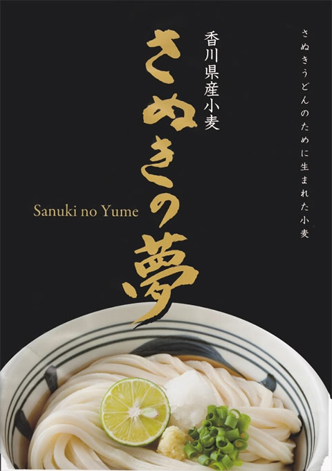 さぬきの夢ポスター