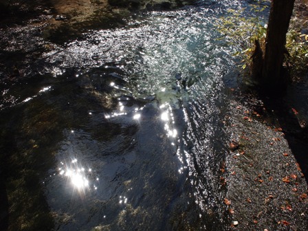 PA082569.jpg