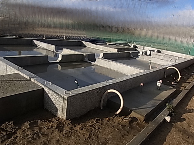 RIMG0181.jpg