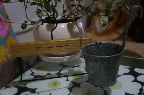 DSC02207.jpg