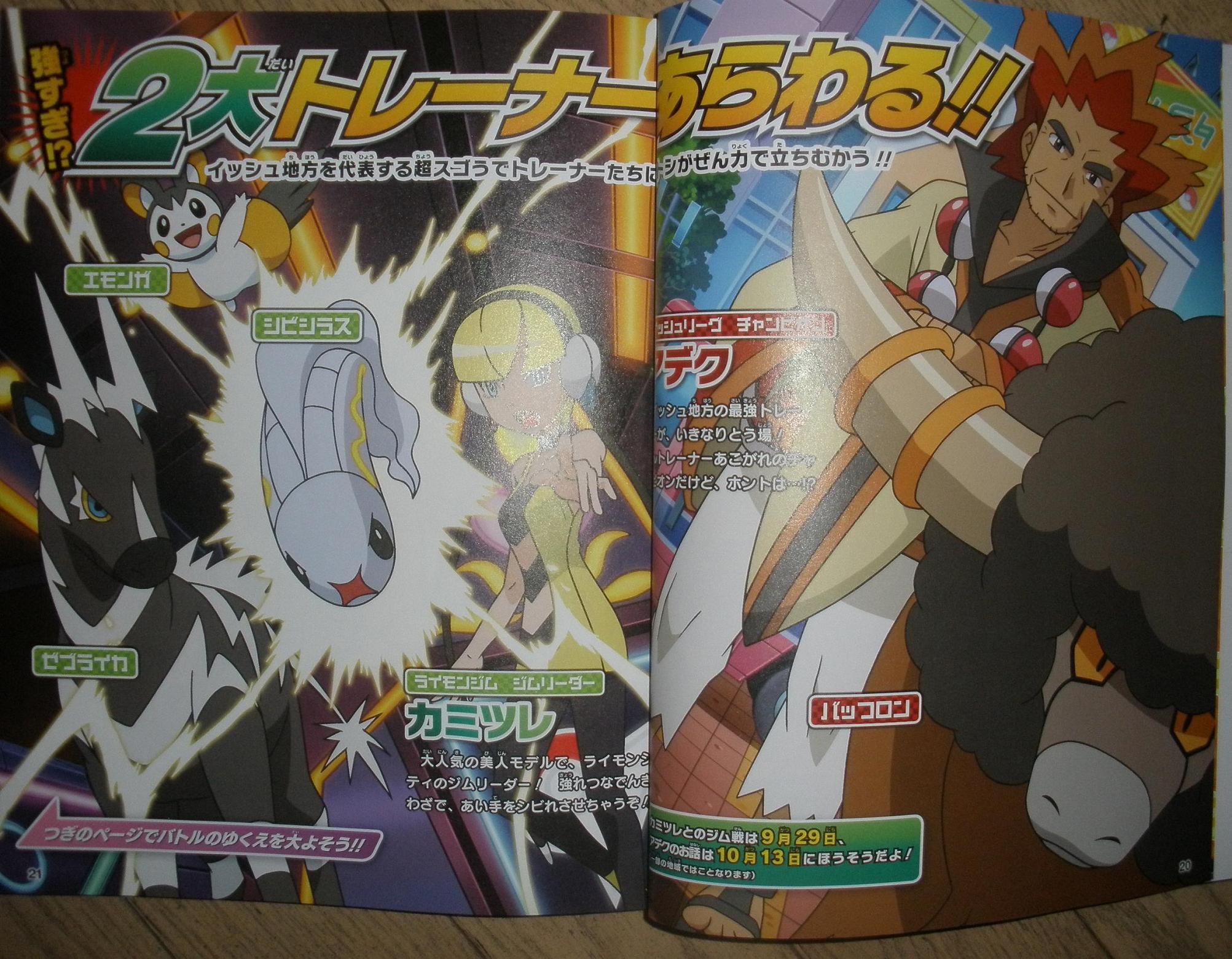 時の神殿/影の宮殿2 : ポケモンファンによる今後のアニメ展開