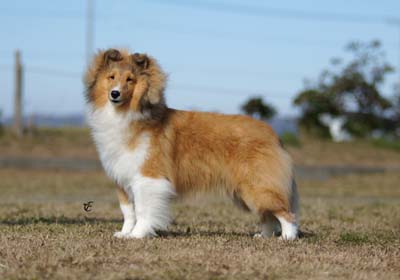 20131201-3a.jpg