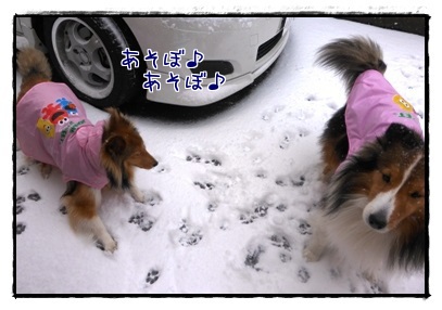 RkZhQWxw8XcJ4sE1391836445_1391836781.jpg