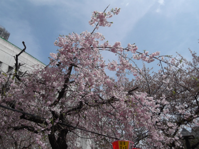 DSCF1429.jpg