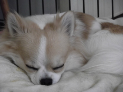 DSCF1511.jpg