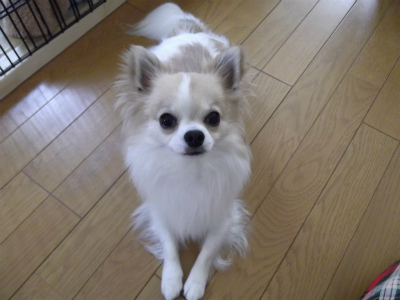 DSCF1591.jpg