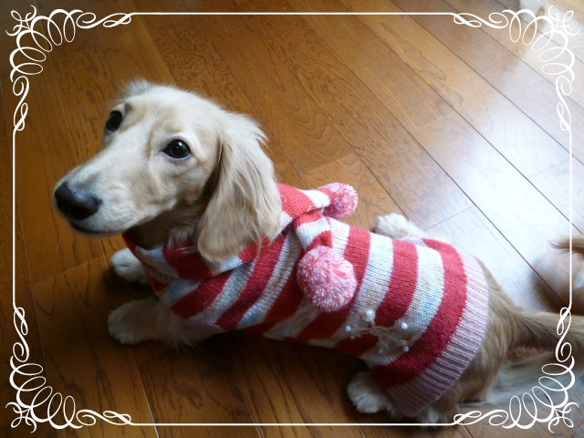 6_20111025161857.jpg