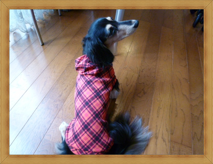 7_20111025161926.jpg