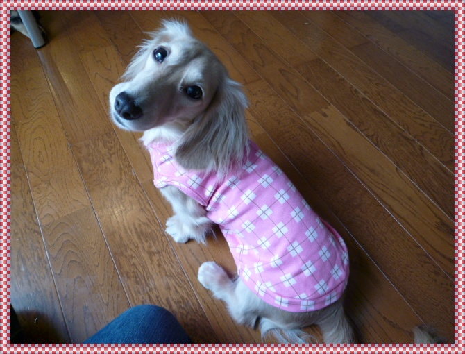 8_20111025161926.jpg