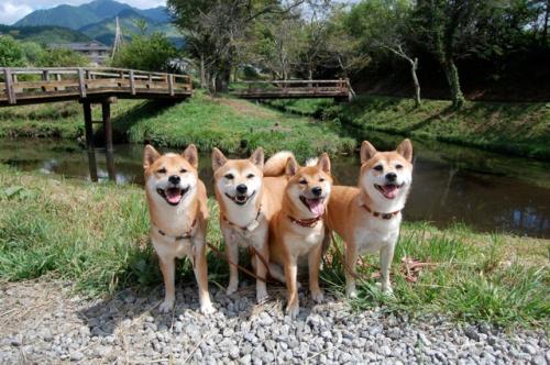 DSC_0149 のコピー