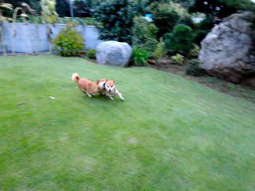 DSC00140_20111004215230.jpg