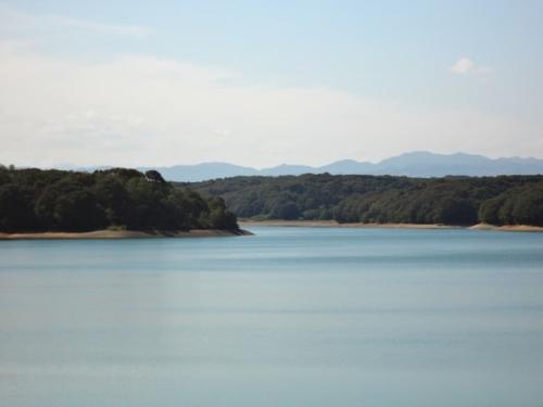 DSC00376_20111010182013.jpg