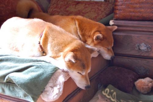 DSC_0027_20111027094431.jpg
