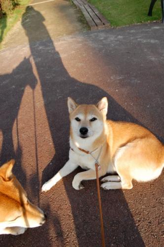 DSC_0040_20111025222059.jpg