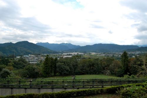 DSC_0080_20111016230244.jpg