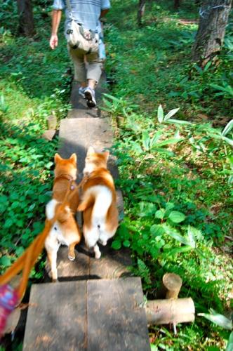 DSC_0340_20110921184249.jpg