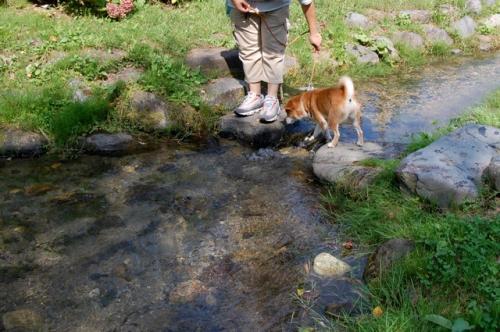 DSC_0396_20110923190956.jpg
