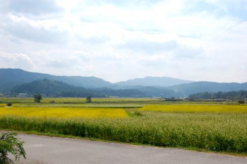 DSC_0724.jpg