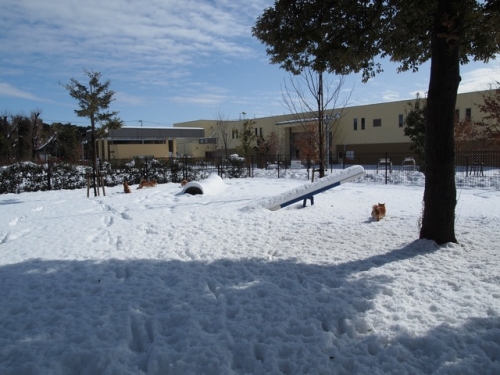 P2099682.jpg