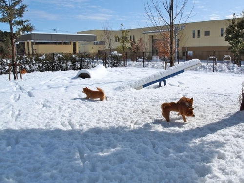 P2099683.jpg