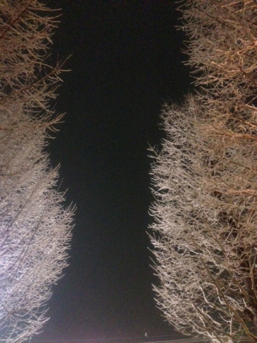 image_2_201402042318207ca.jpg
