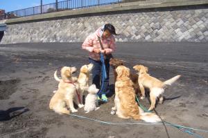380_convert_20120321171130.jpg