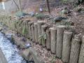 DSC03569_convert_20120326112754.jpg
