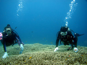 2010063001