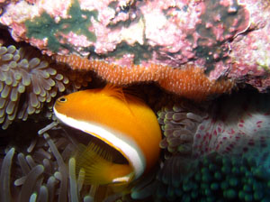 2010063002