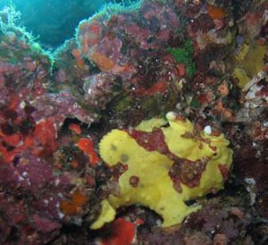 jpg3