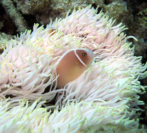jpg19