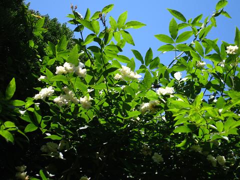 IMG_6748.jpg
