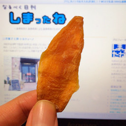 ひとは柿