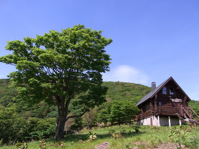 RIMG0600.jpg