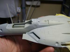 IMGP5075.jpg