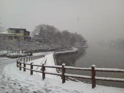 雪の日の公園
