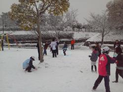 雪合戦