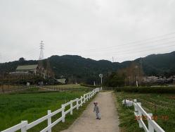 風景
