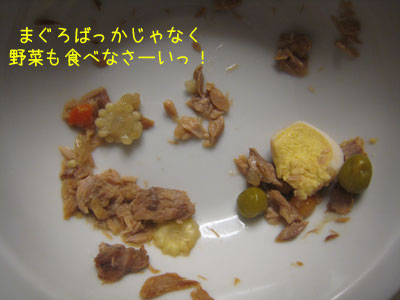 キレイに食べて欲しいのにーっ