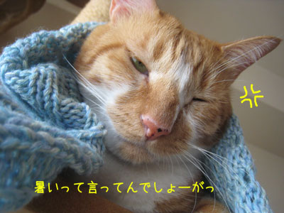 豹変っ!