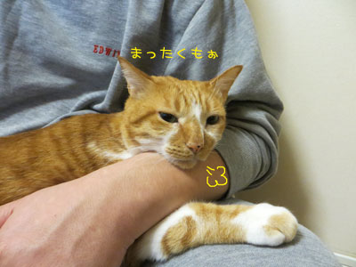まったくぅ~(-”-;
