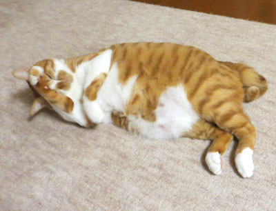 寂しかったんだから。。。
