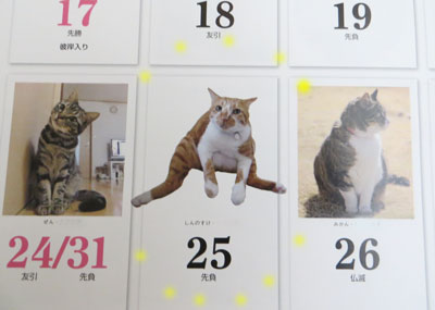 しんちゃんの日!