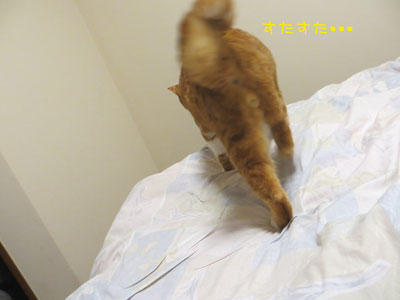 あれぇ~