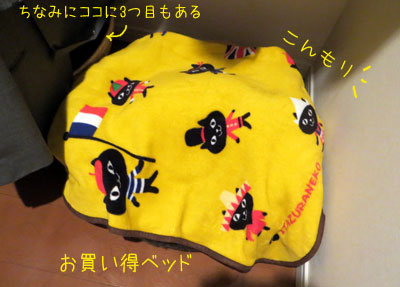 結局ひとり寝