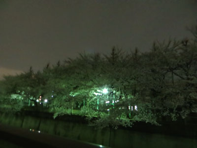 なんか出そう・・・