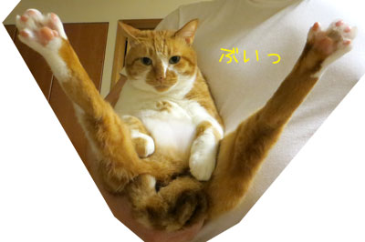 ぶいぶい!!