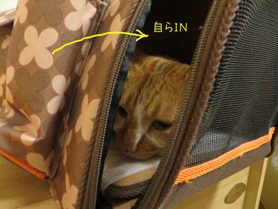 どんな隙間も見逃さない