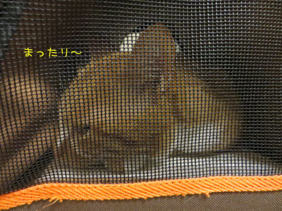 くつろぎ~