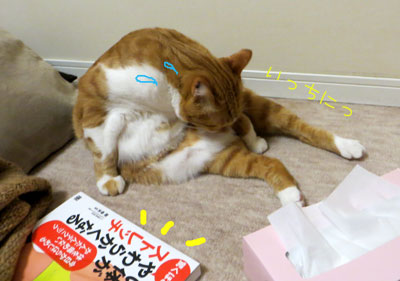ストレッチ中